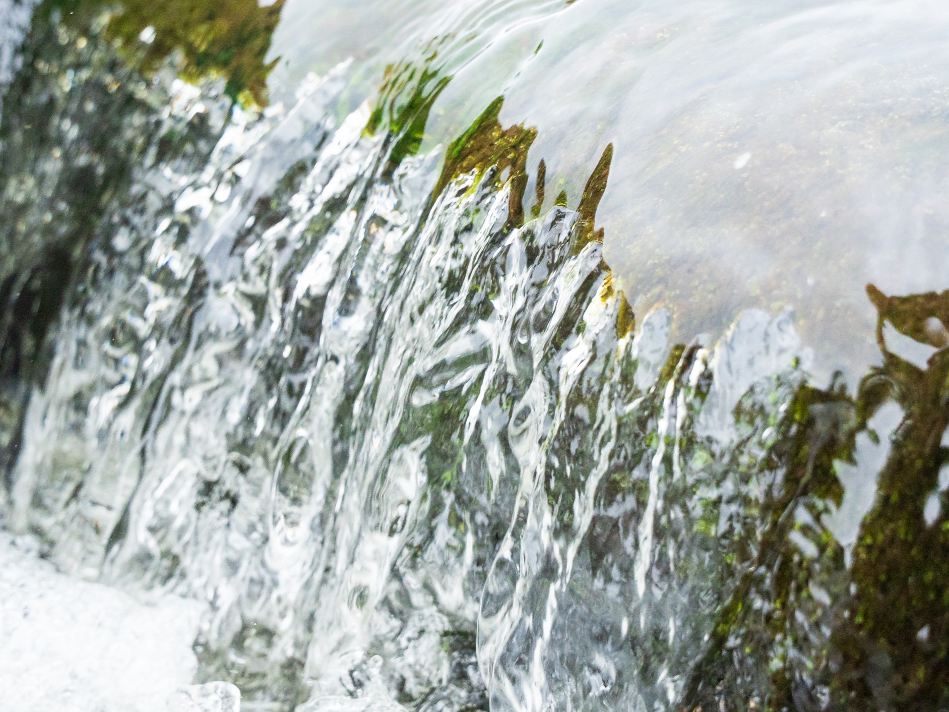 Close-up of water flowing downwards over a rock