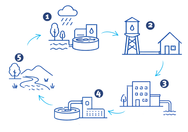 5-step water cycle from nature to treatment to your tap then treatment again then back to nature